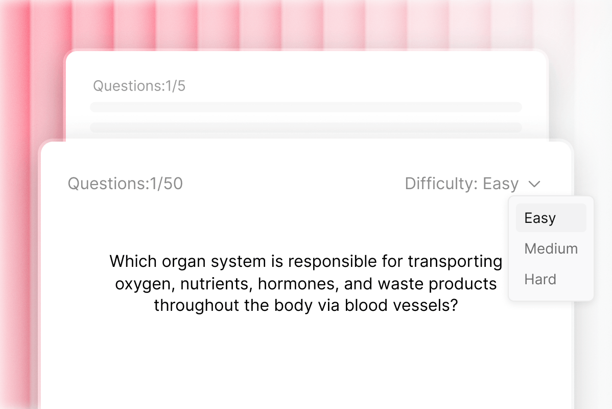 Crie flashcards do seu jeito